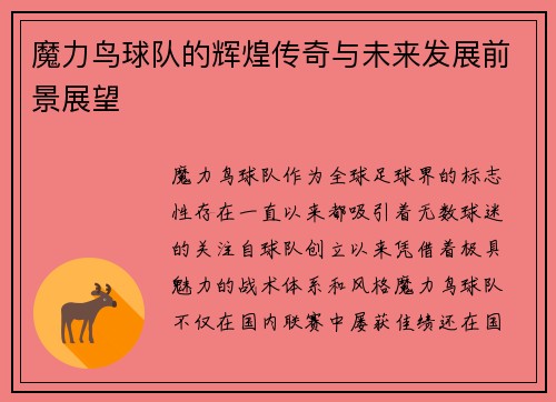 魔力鸟球队的辉煌传奇与未来发展前景展望